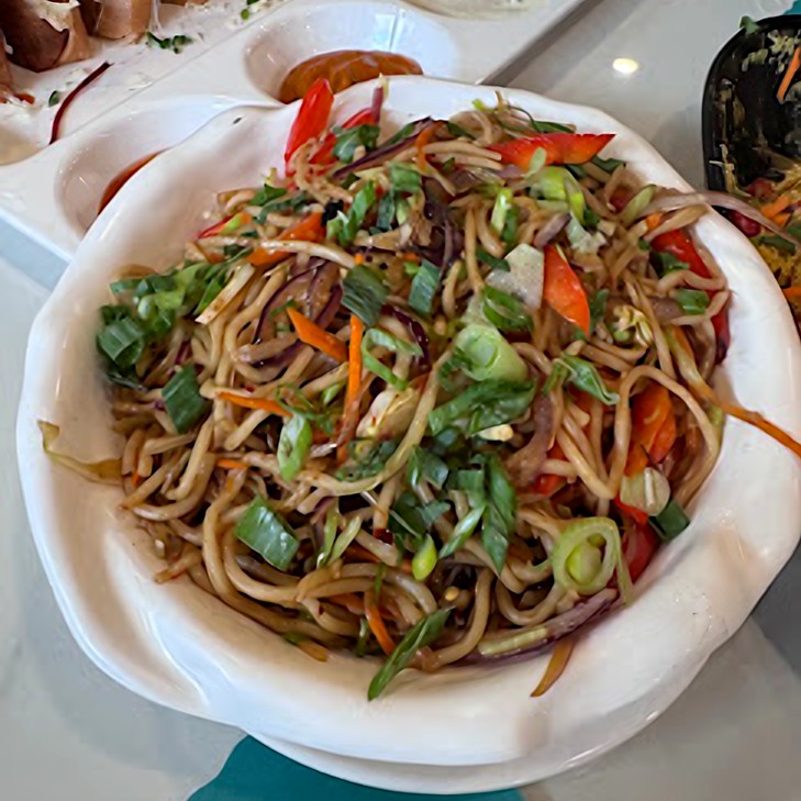 veg hakka noodles
